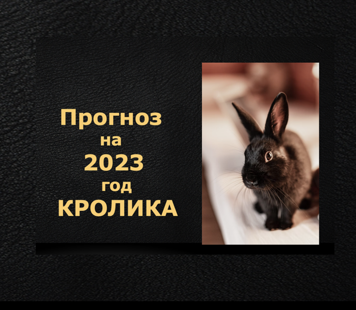 ПРОГНОЗ НА 2023 ГОД КРОЛИКА